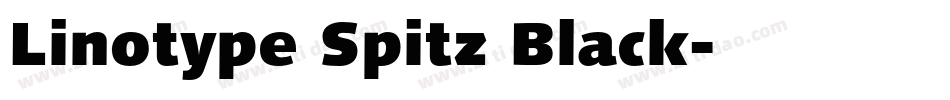 Linotype Spitz Black字体转换